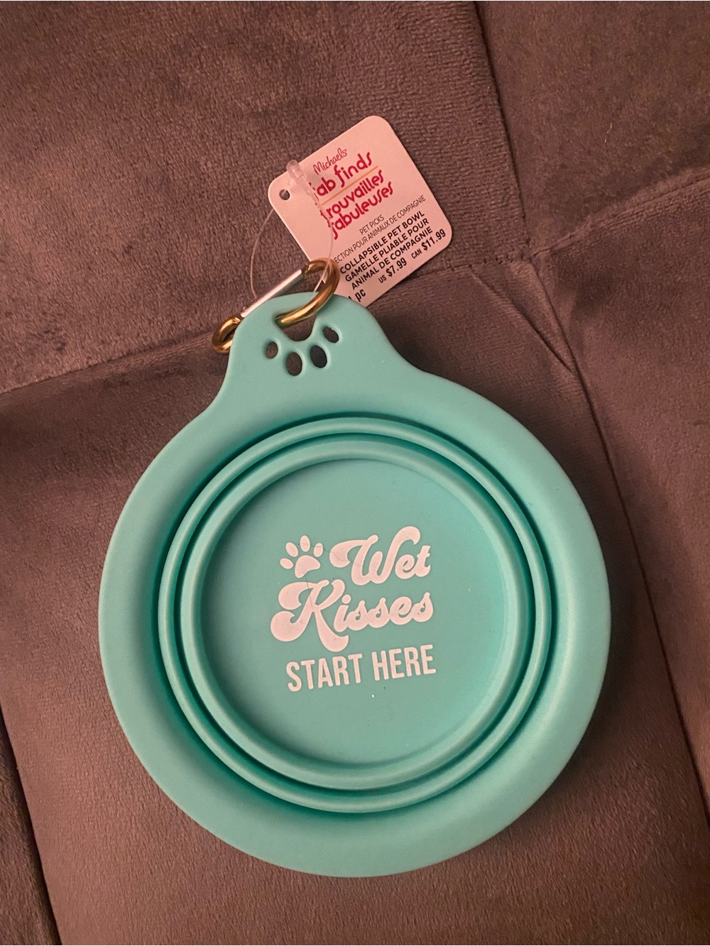 Collapsible Pet Bowl - Aqua "Wet Kisses Start Here"